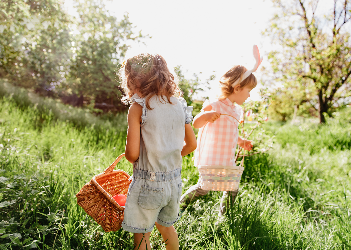 Untitled design - 2024-01-25T121114.295