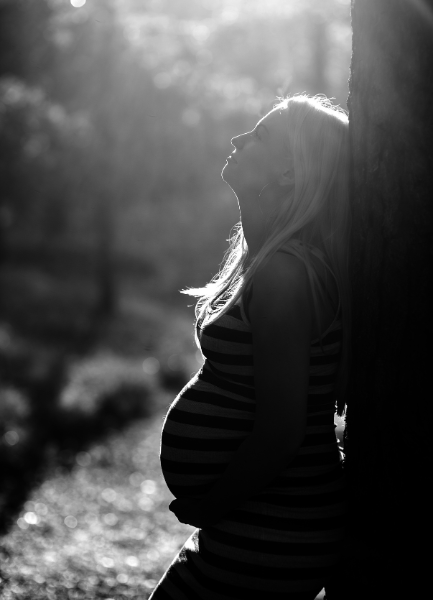 Untitled design - 2024-01-26T160750.271